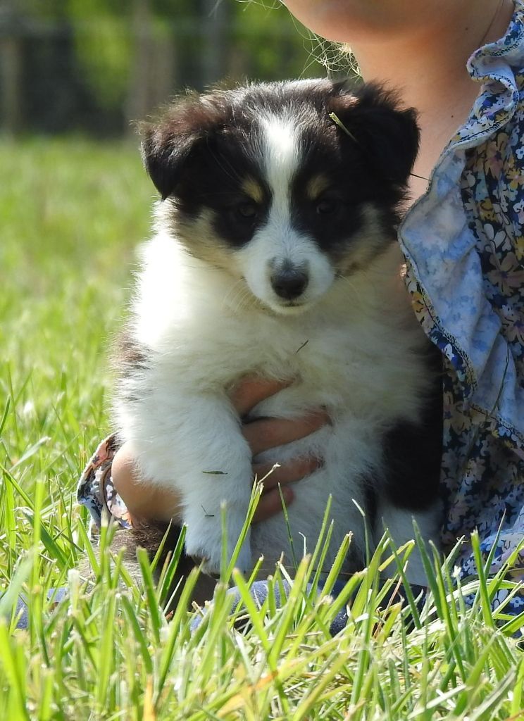 The first babies kaline du sapin epineux